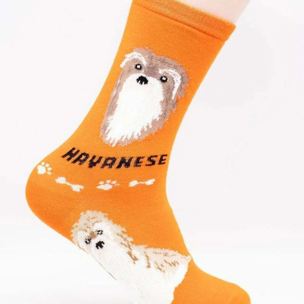 Havanese Cuba Rescue Breeders Cute Soft Furry Puppy 2 Pairs Women's Foozys Socks